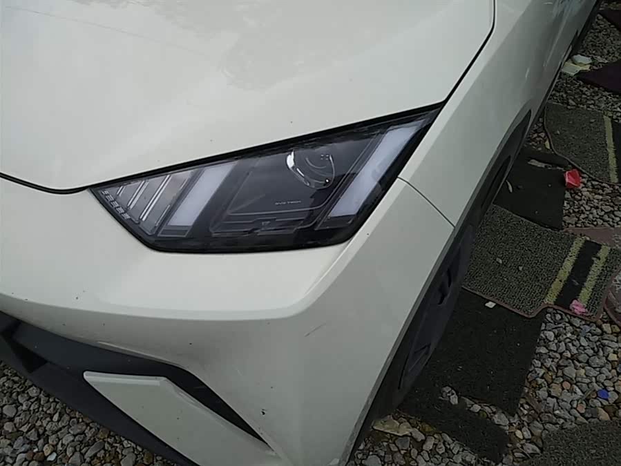 BYD Seagull 2024