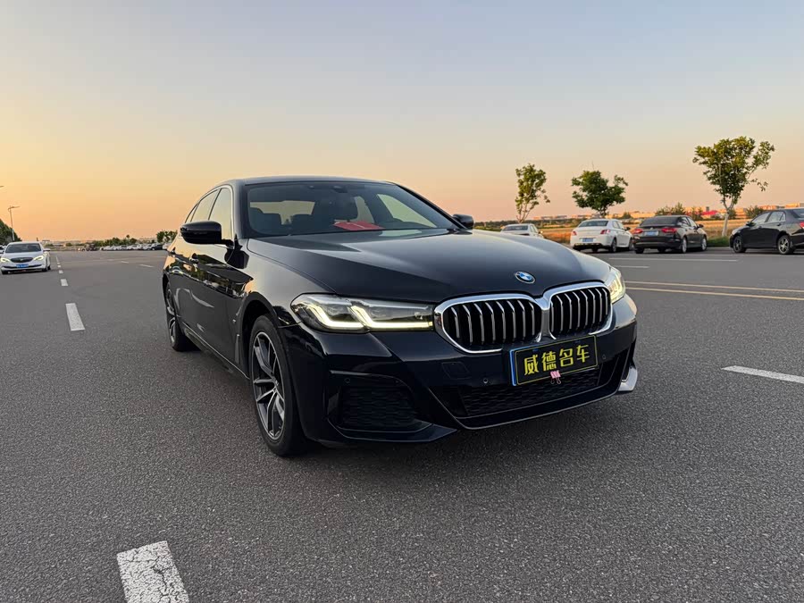 BMW 5 Series 2021