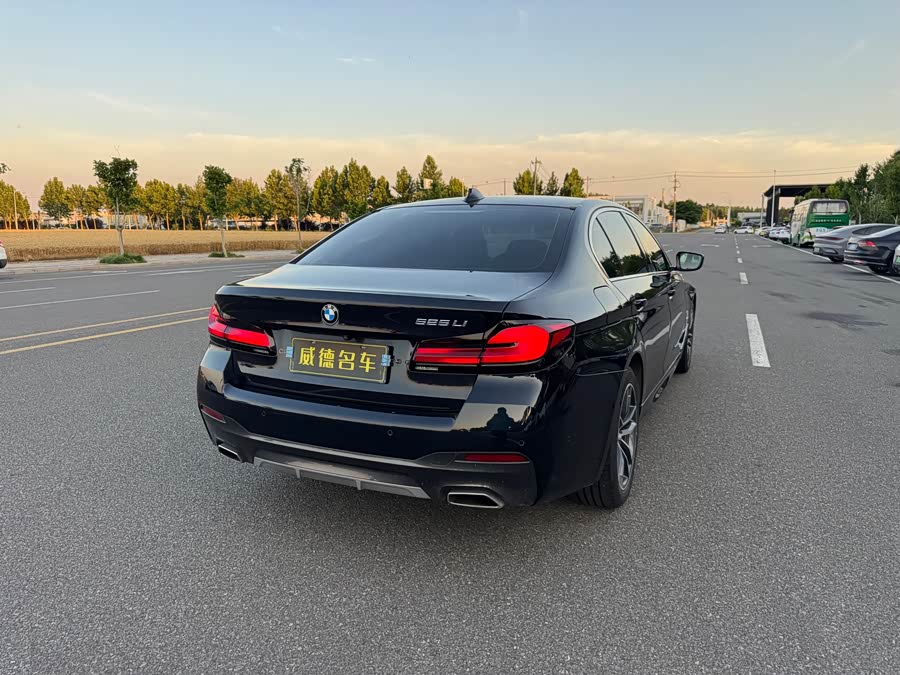 BMW 5 Series 2021