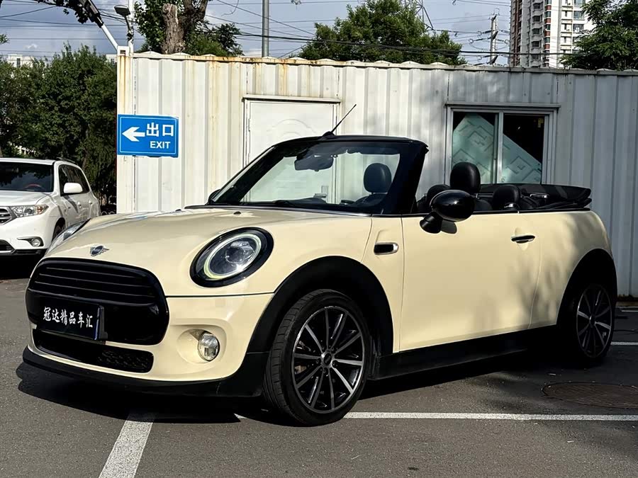 MINI MINI 2019