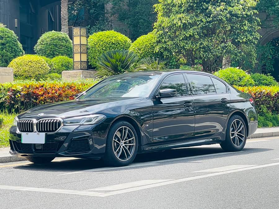 BMW 5 Series New Energy 2021