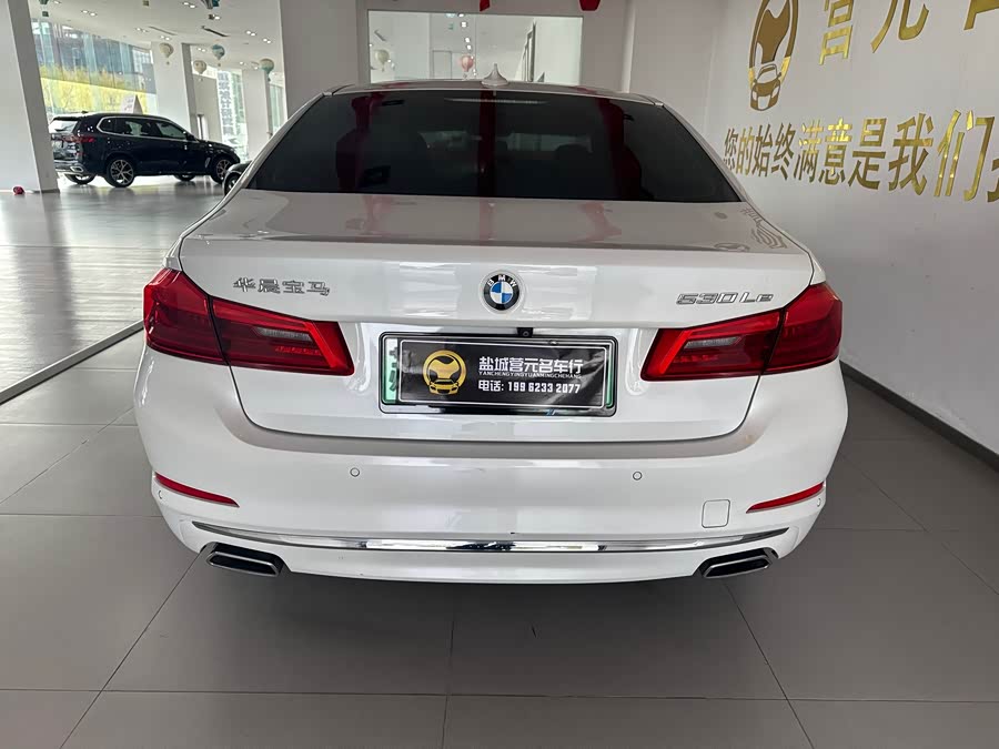 BMW 5 Series New Energy 2019