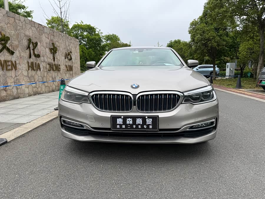 BMW 5 Series New Energy 2019
