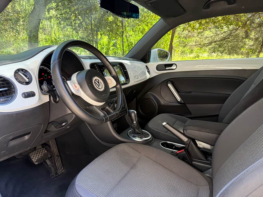 Volkswagen Beetle 2014