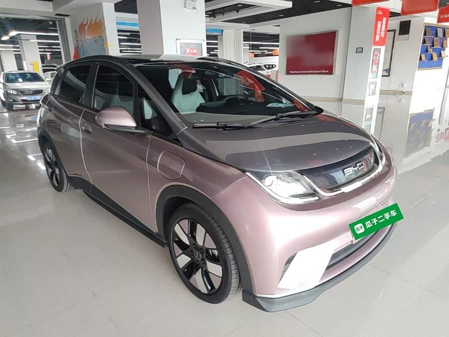 BYD Dolphin 2021