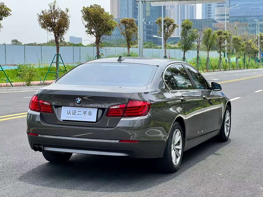 BMW 5 Series 2013