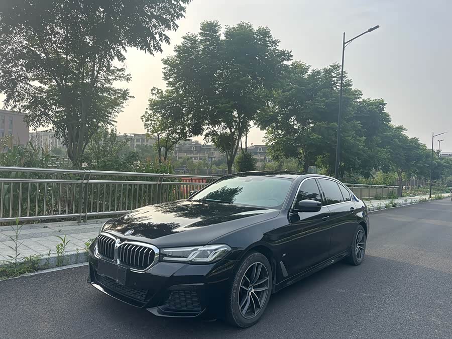 BMW 5 Series 2021