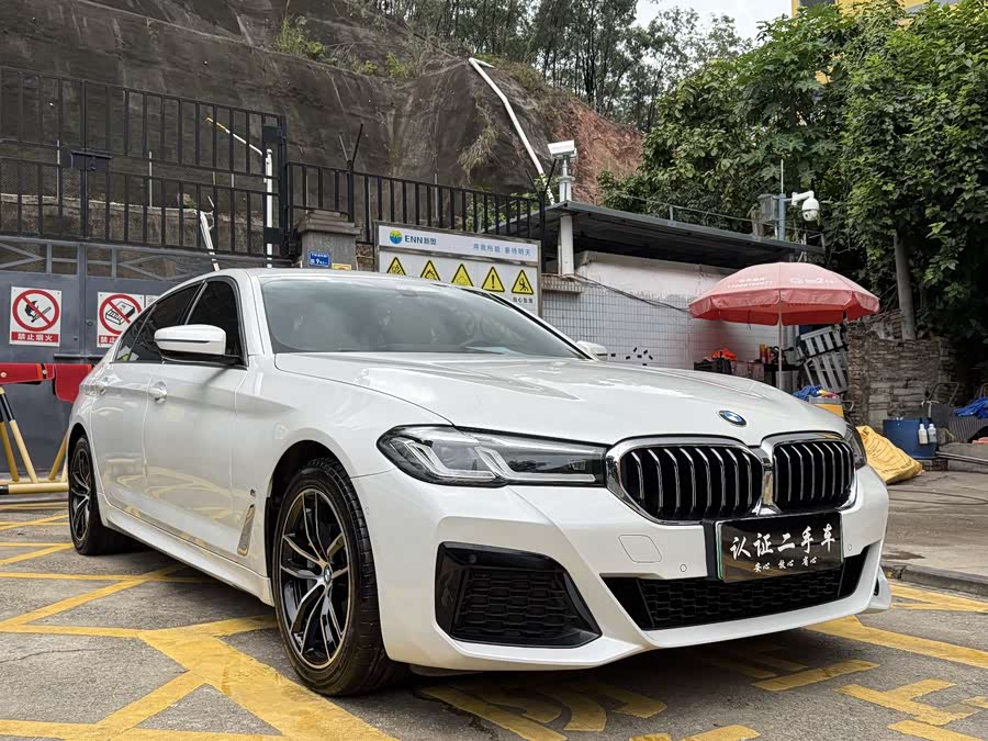 BMW 5 Series New Energy 2022