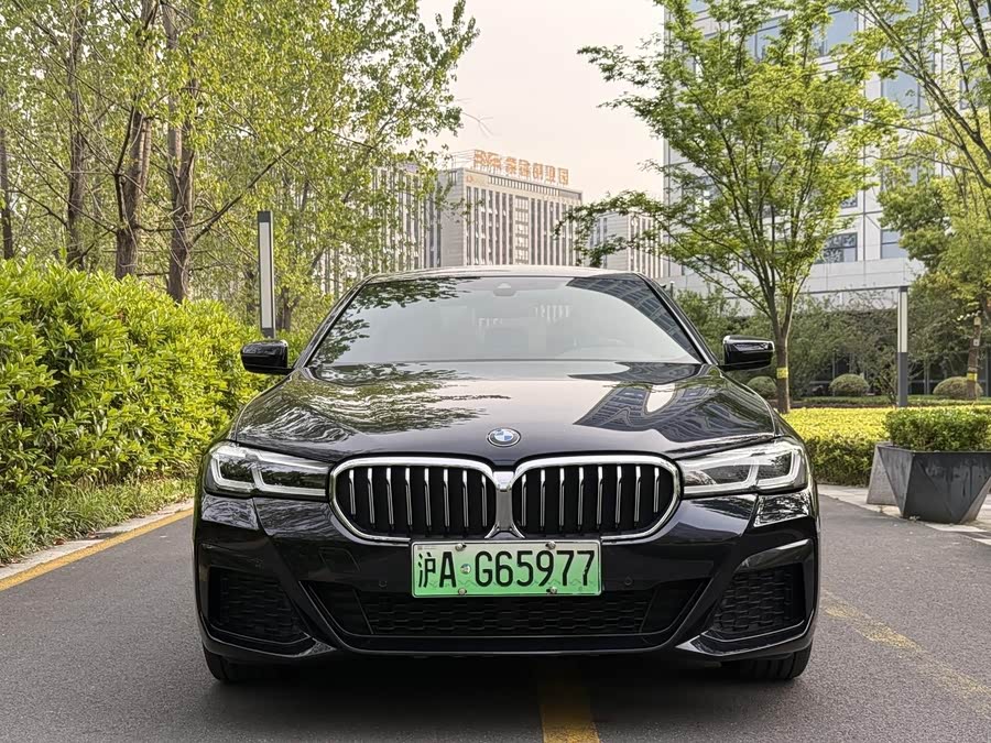 BMW 5 Series New Energy 2021
