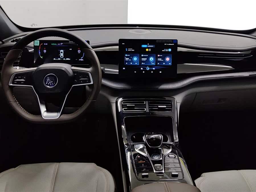 BYD Qin PLUS 2024 — фото 12