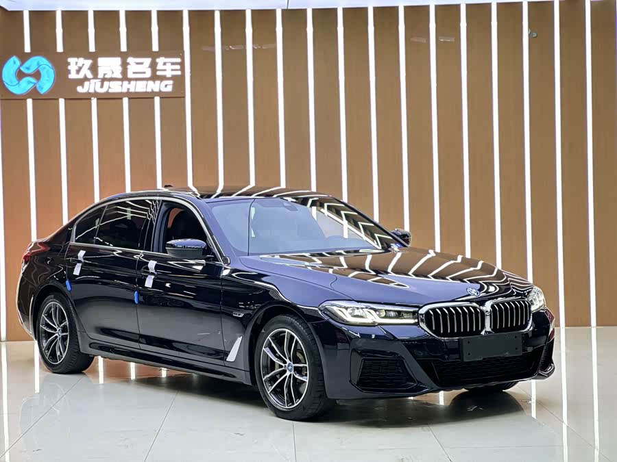 BMW 5 Series New Energy 2021