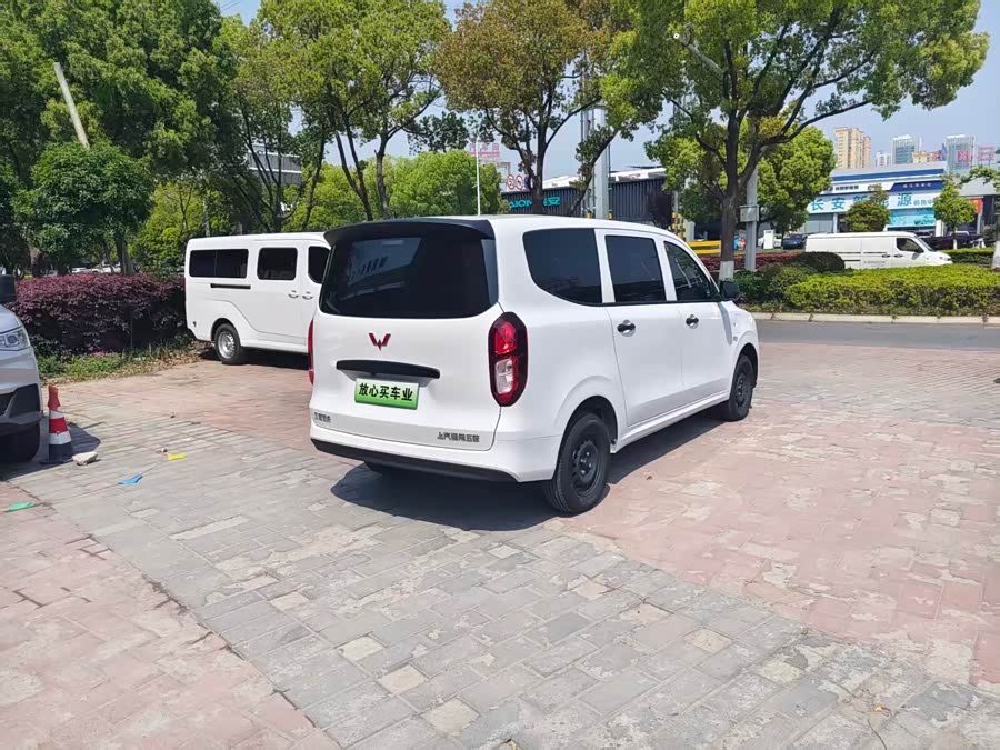 Wuling Hongguang New Energy 2024