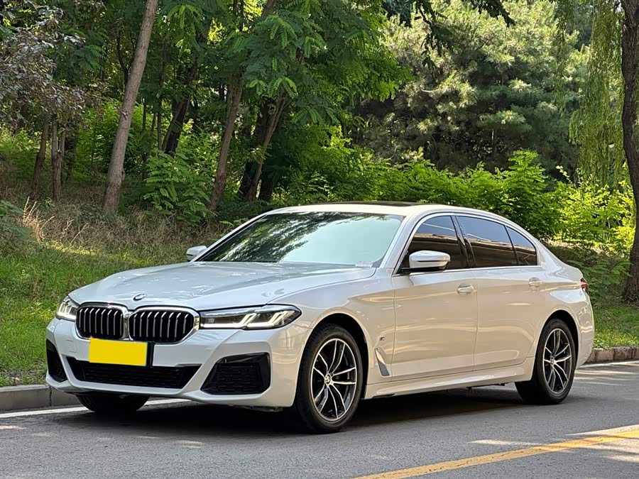 BMW 5 Series 2022