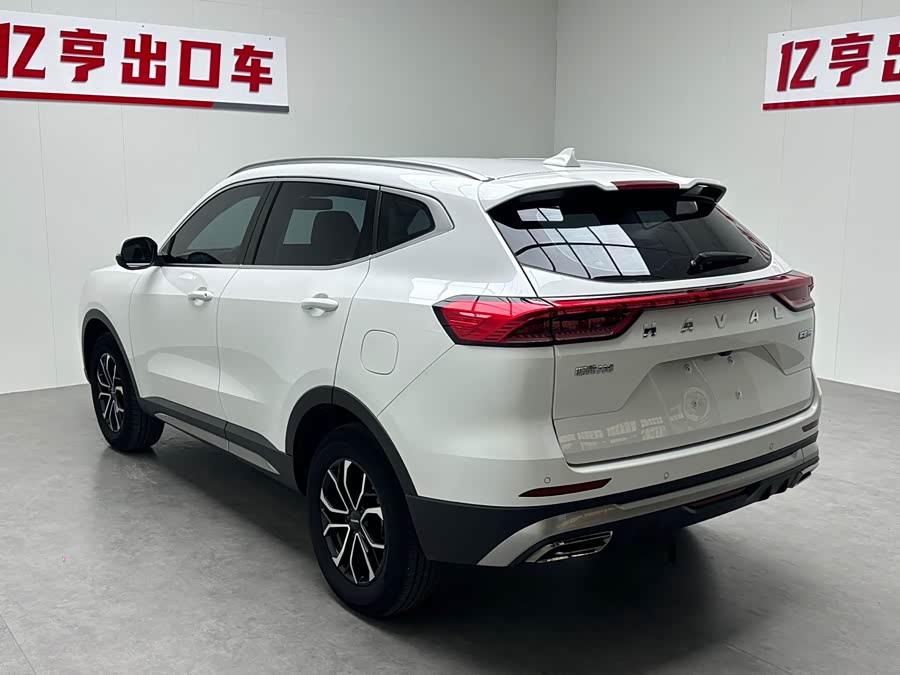 Haval H6 2021 — фото 14