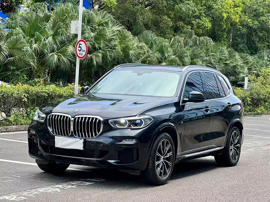 BMW X5 2019