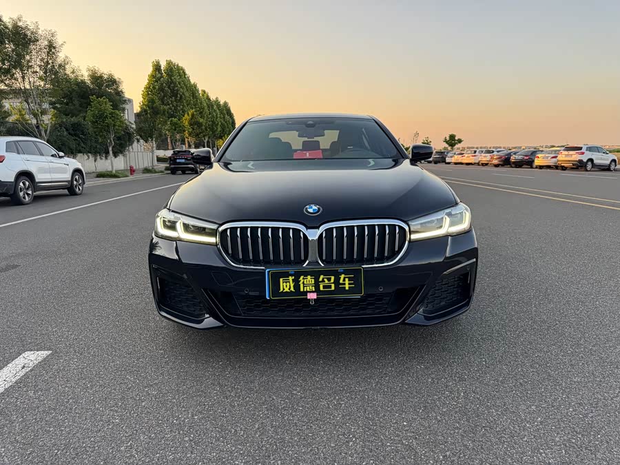 BMW 5 Series 2021