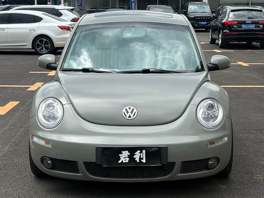Volkswagen Beetle 2010