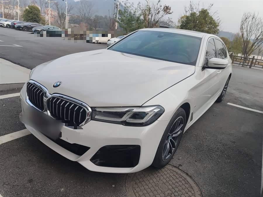 BMW 5 Series 2021