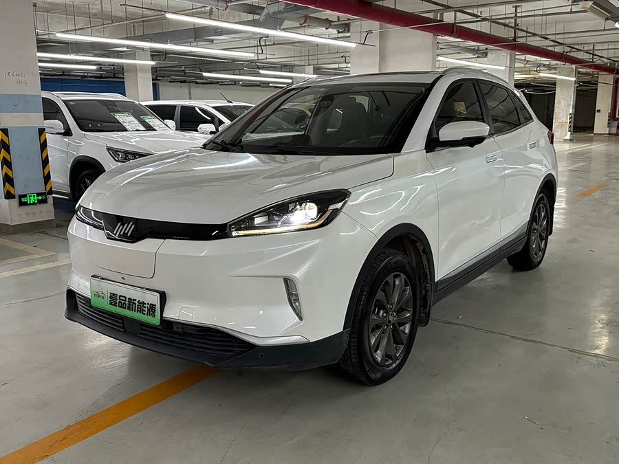 WM Motor EX5 2018