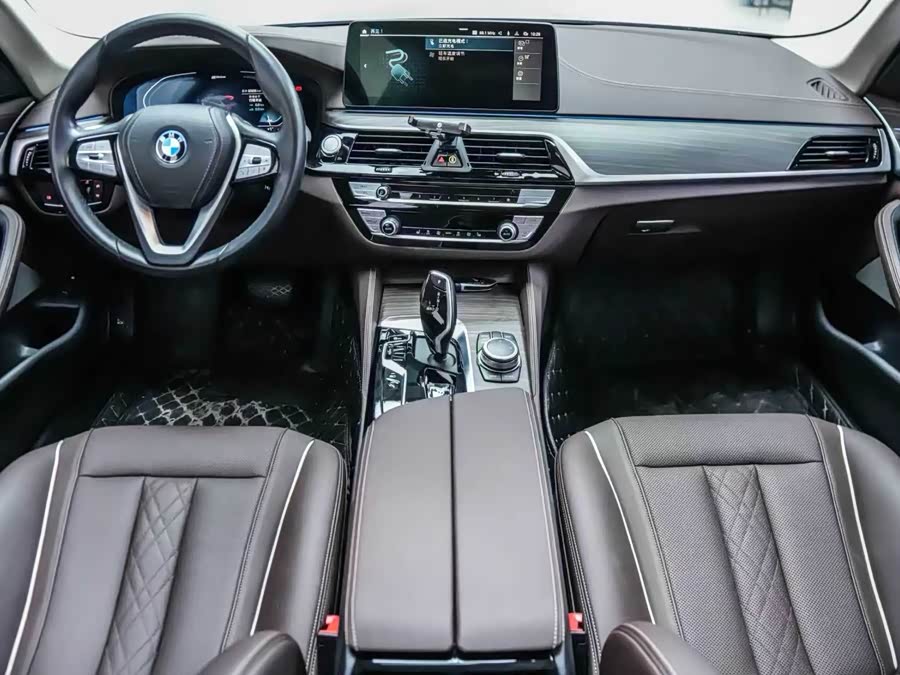 BMW 5 Series New Energy 2022