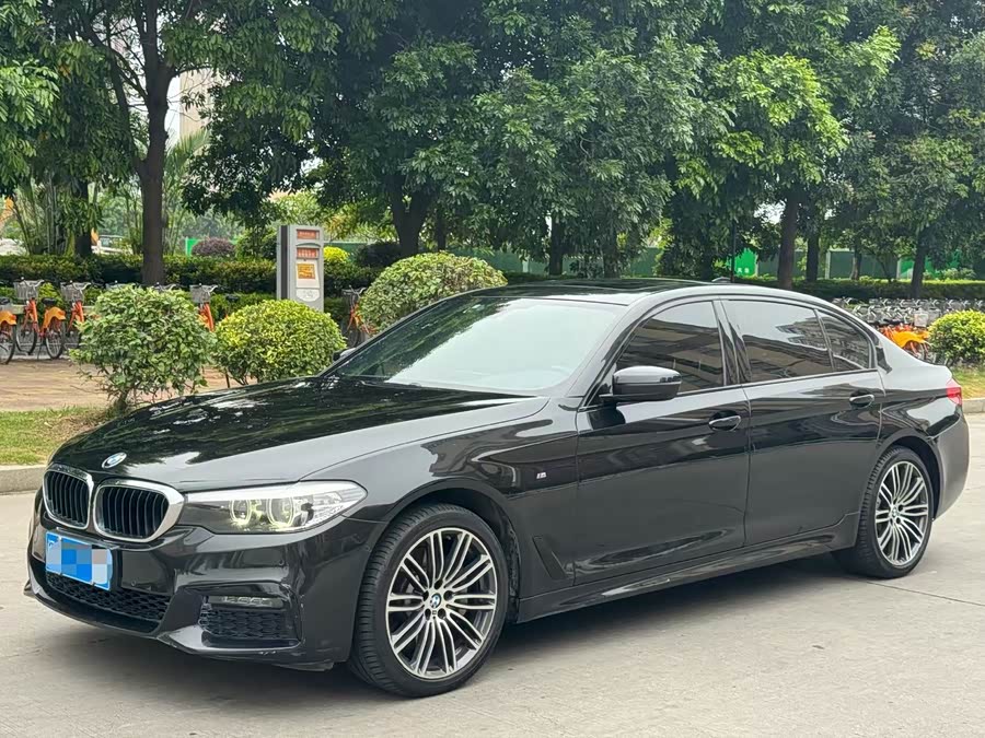 BMW 5 Series 2019