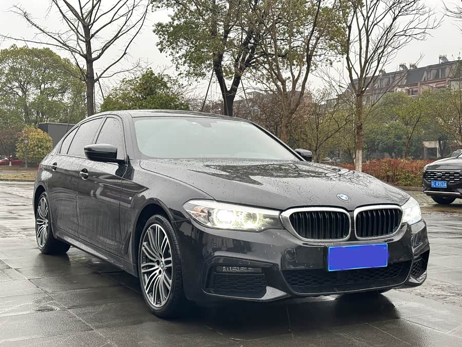 BMW 5 Series 2019