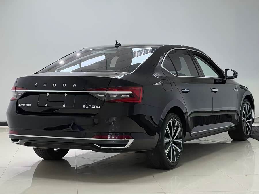 Skoda Speedy 2024