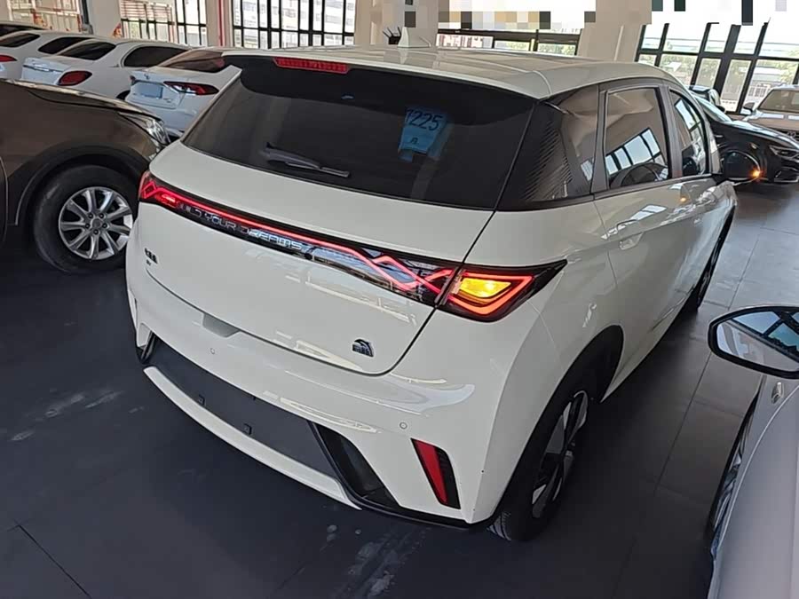 BYD Dolphin 2023