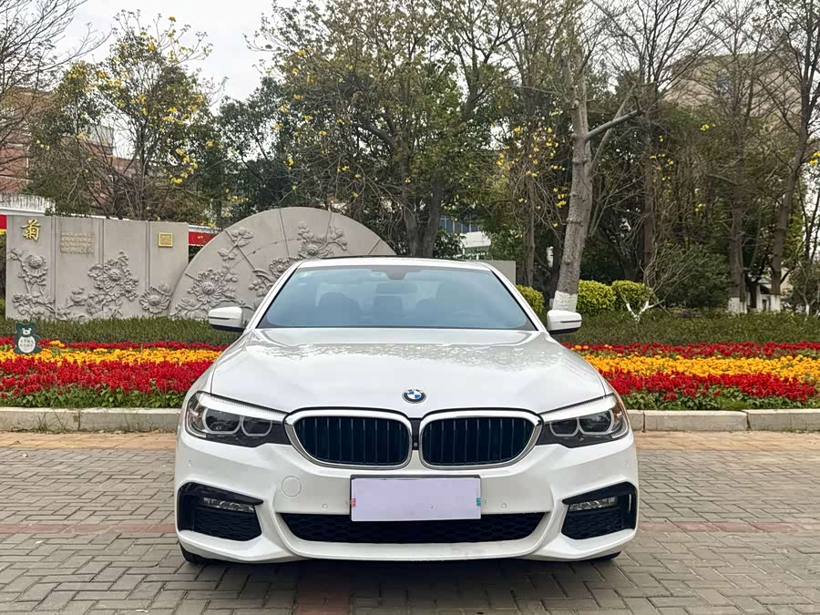 BMW 5 Series 2018