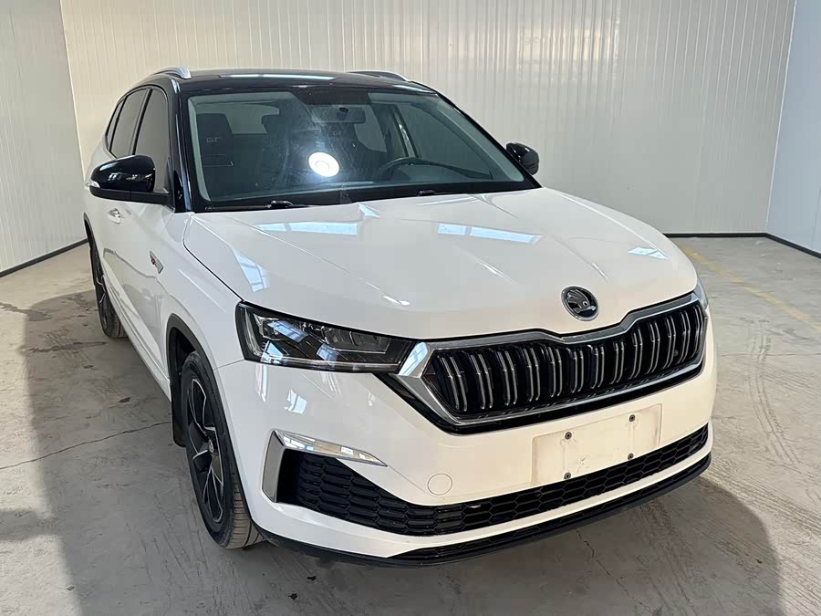 Skoda Kamiq 2022
