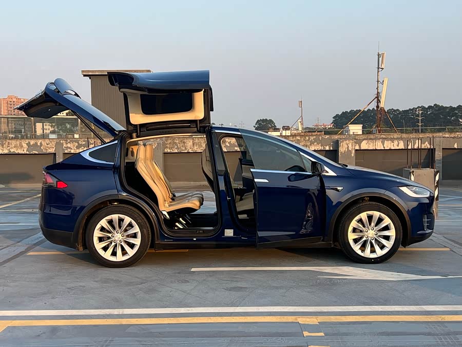 Tesla Model X 2016 — фото 23