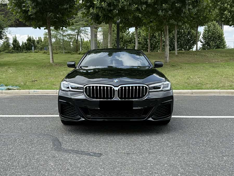 BMW 5 Series 2019