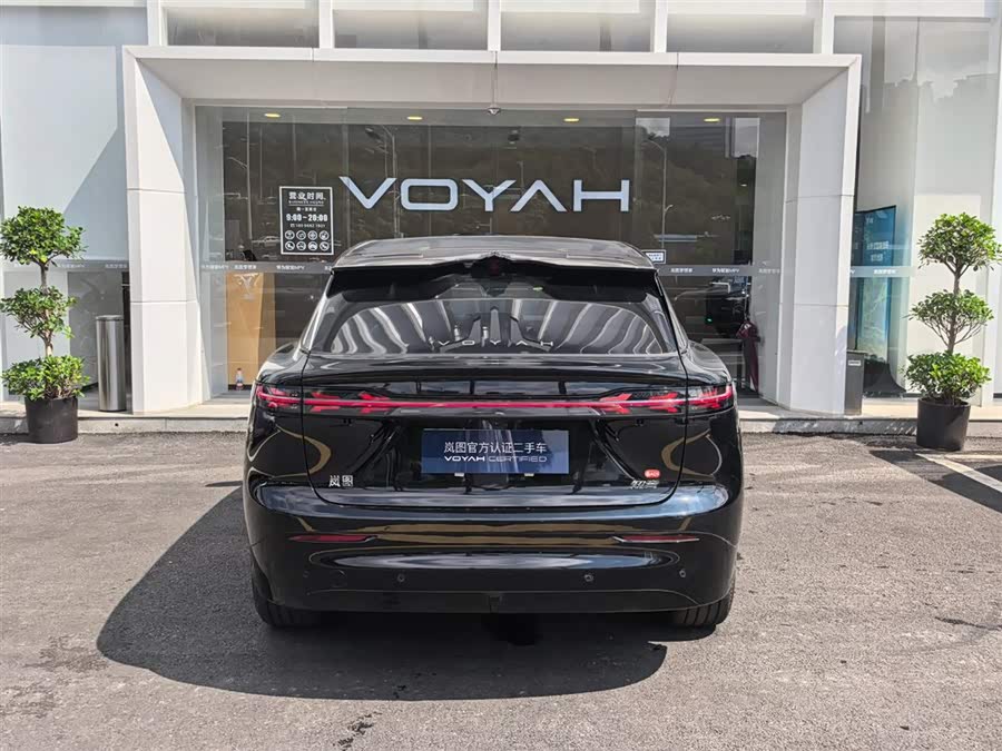 Voyah Zhiyin 2025