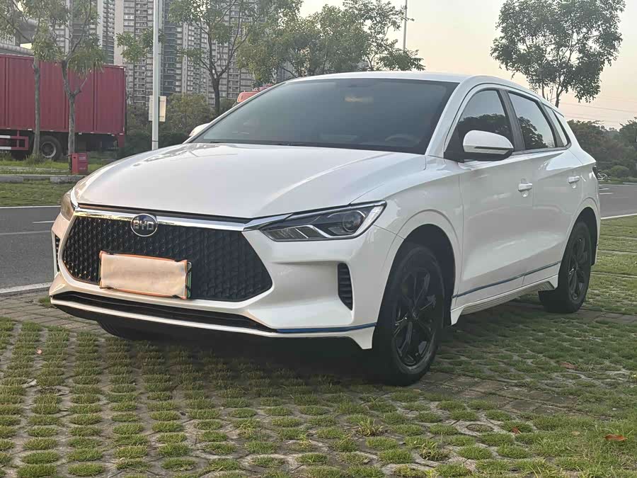 BYD e2 2021