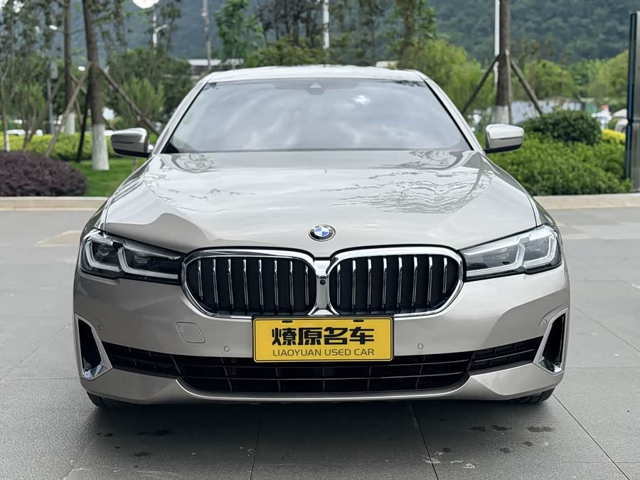 BMW 5 Series 2021