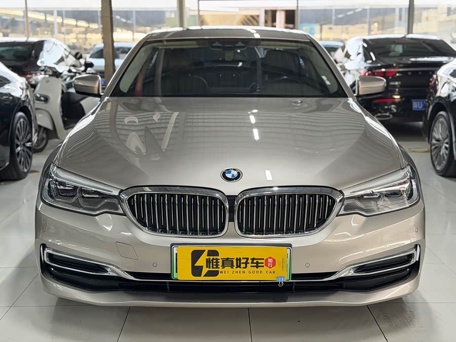 BMW 5 Series New Energy 2020