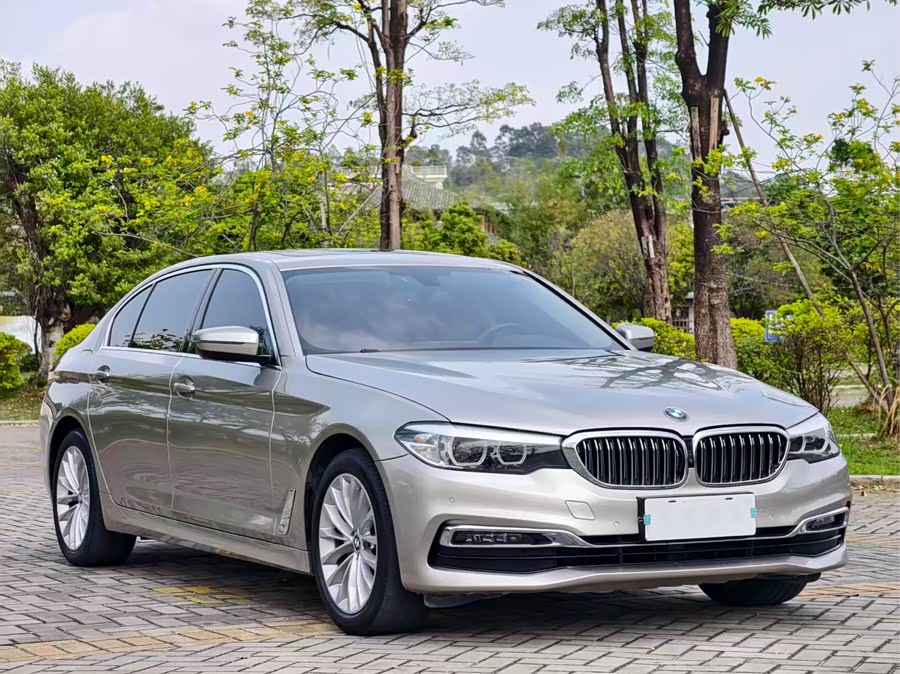BMW 5 Series 2019
