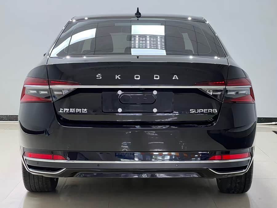 Skoda Speedy 2024