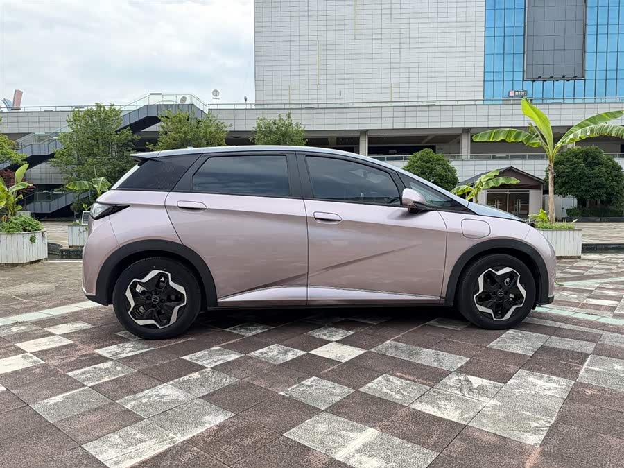 BYD Dolphin 2021