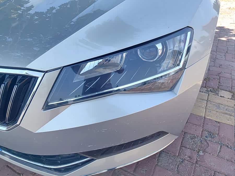 Skoda Speedy 2019 — фото 24