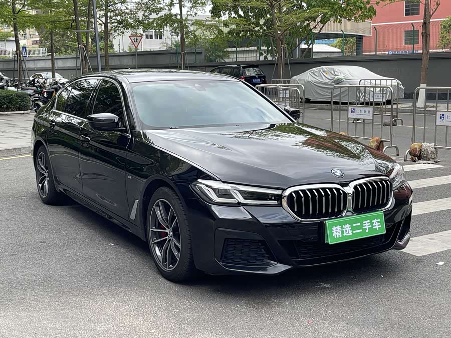 BMW 5 Series New Energy 2021