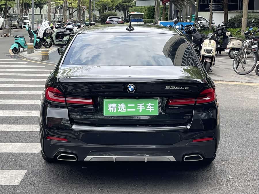 BMW 5 Series New Energy 2021