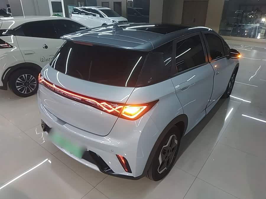 BYD Dolphin 2021