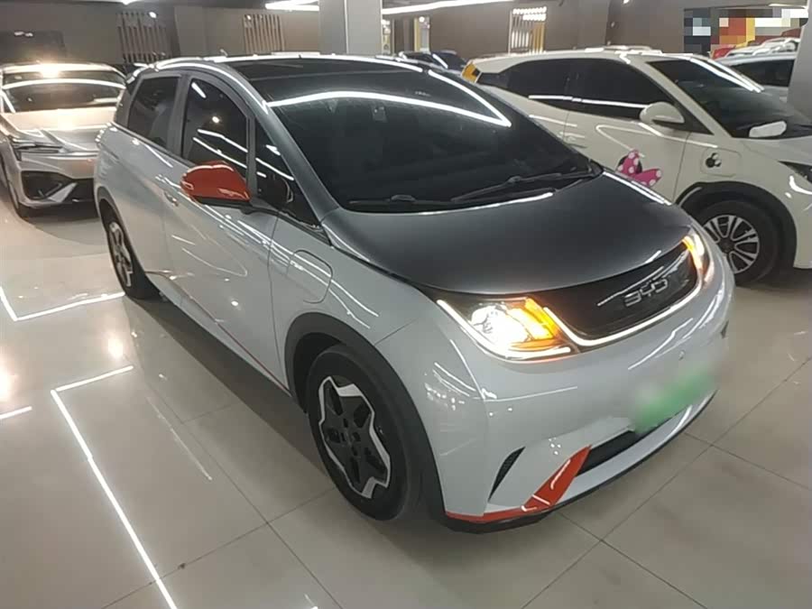 BYD Dolphin 2021