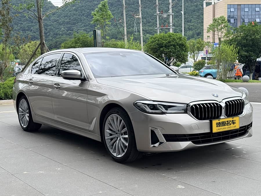 BMW 5 Series 2021