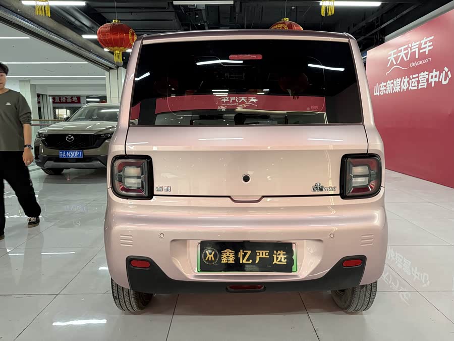 Geely Galaxy Panda 2024