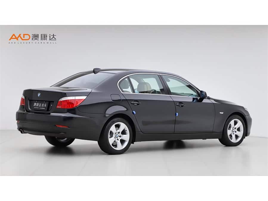 BMW 5 Series 2009