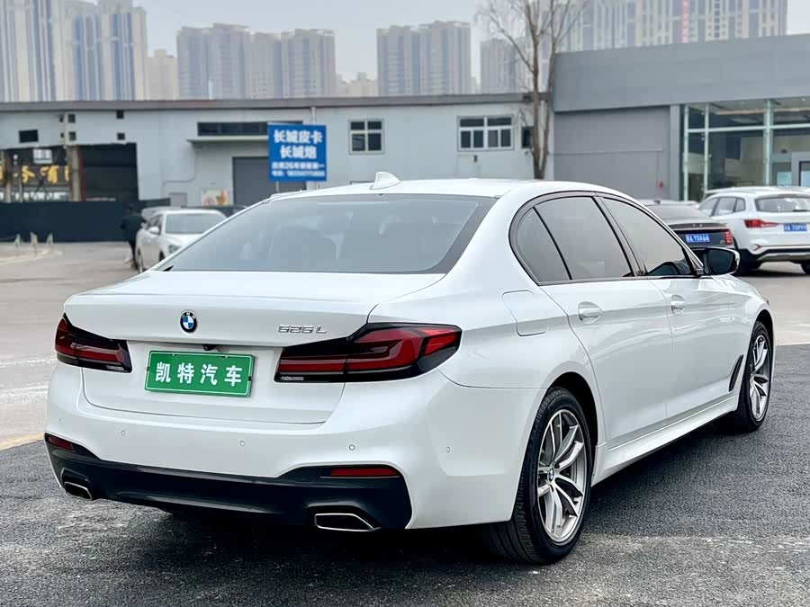 BMW 5 Series 2019