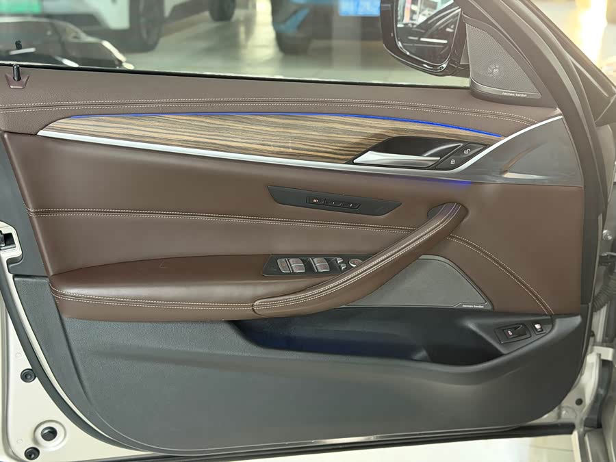 BMW 5 Series New Energy 2020