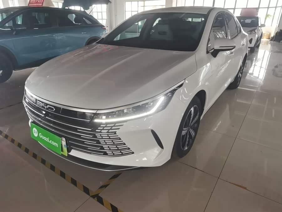BYD Destroyer 05 2024